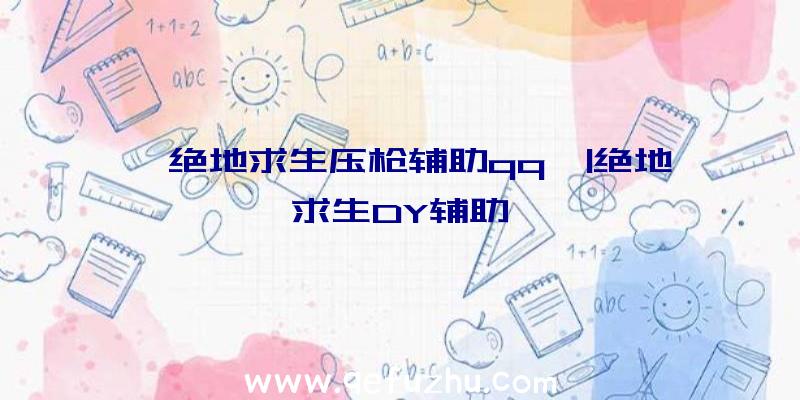 「绝地求生压枪辅助qq」|绝地求生DY辅助